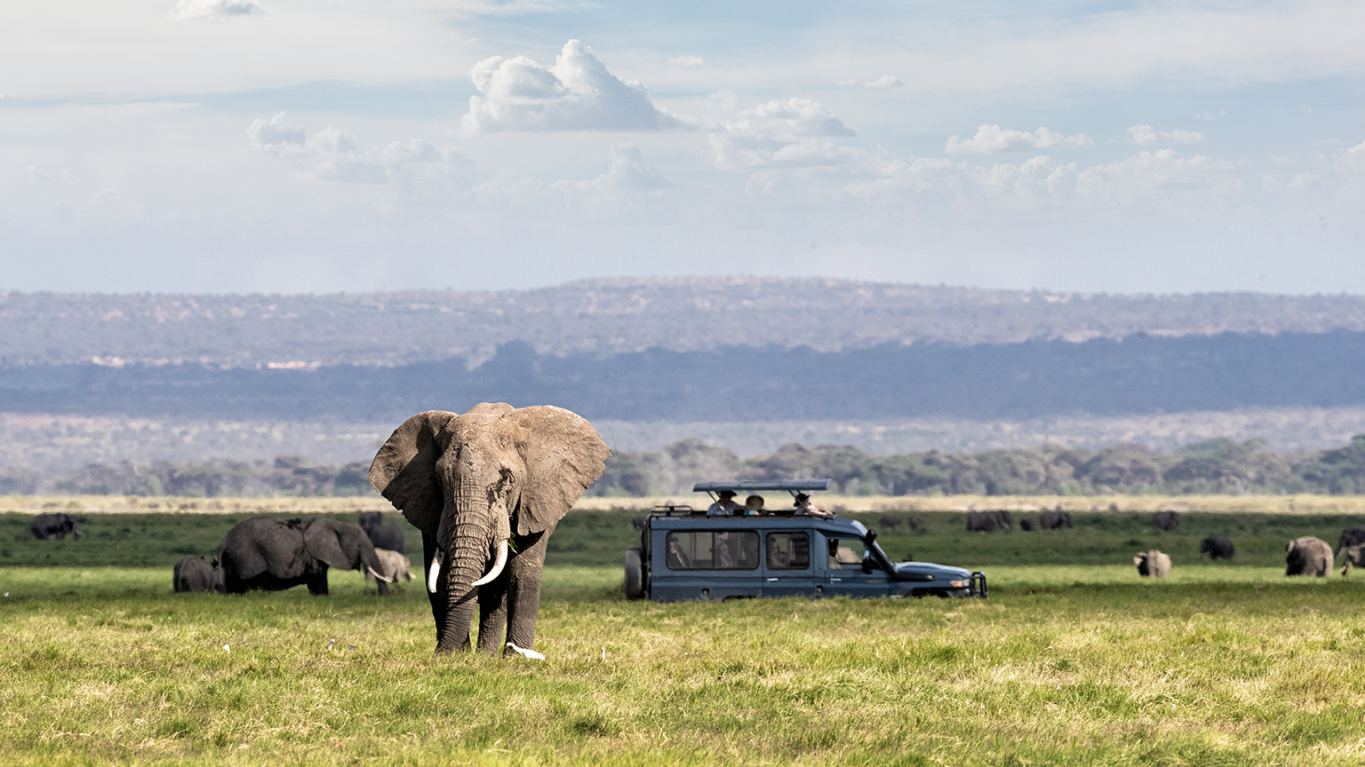 SAFARI HOLIDAYS